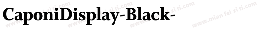 CaponiDisplay-Black字体转换