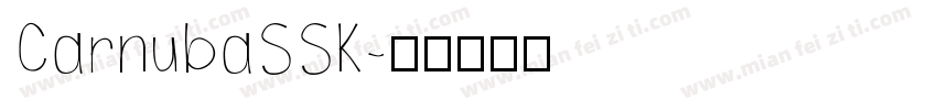 CarnubaSSK字体转换