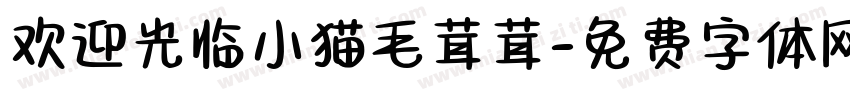 欢迎光临小猫毛茸茸字体转换