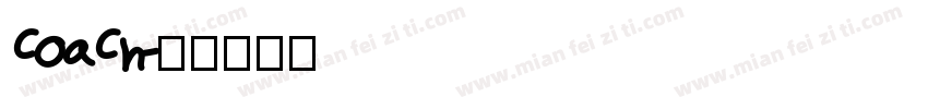 coach字体转换