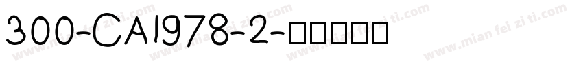 300-CAI978-2字体转换