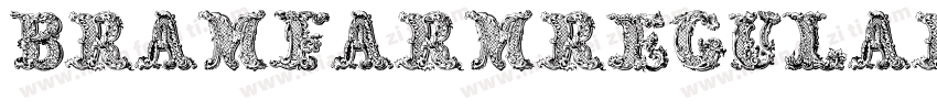 BramfarmRegular-WjRz字体转换