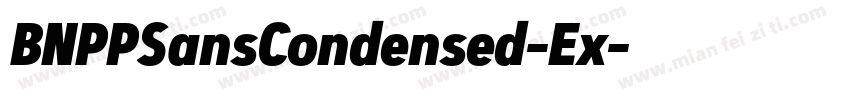 BNPPSansCondensed-Ex字体转换