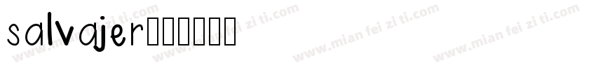salvajer字体转换