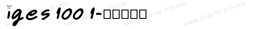 iges1001字体转换