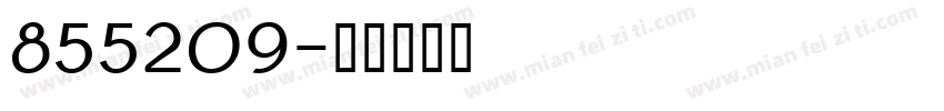 855209字体转换