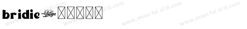 bridie字体转换