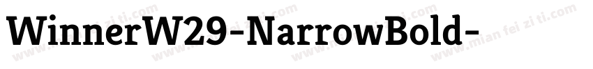 WinnerW29-NarrowBold字体转换