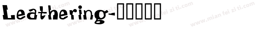 Leathering字体转换