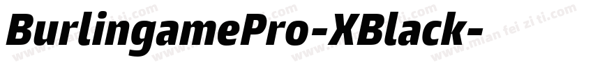 BurlingamePro-XBlack字体转换
