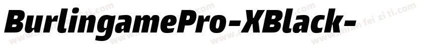 BurlingamePro-XBlack字体转换