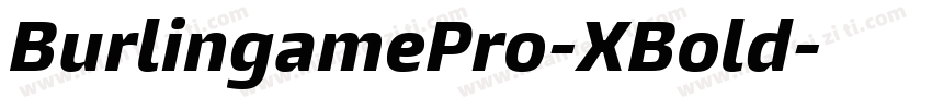 BurlingamePro-XBold字体转换
