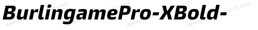 BurlingamePro-XBold字体转换