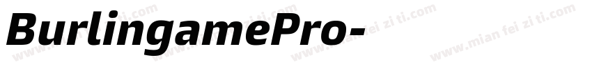 BurlingamePro字体转换