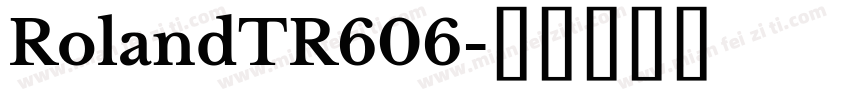 RolandTR606字体转换