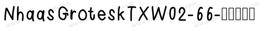 NhaasGroteskTXW02-66字体转换