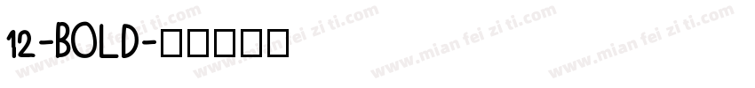 12-BOLD字体转换