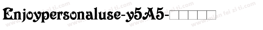 Enjoypersonaluse-y5A5字体转换