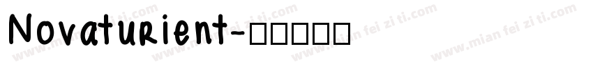 Novaturient字体转换