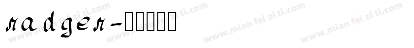 radger字体转换