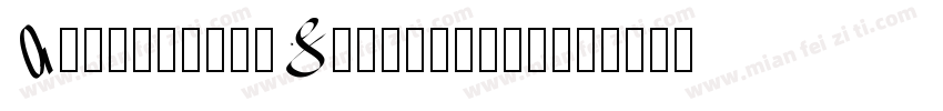 AccountantSignature-字体转换