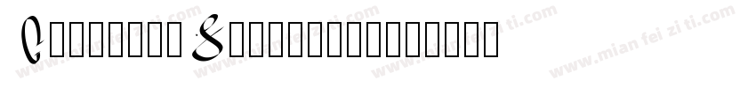 CastteloSignature字体转换