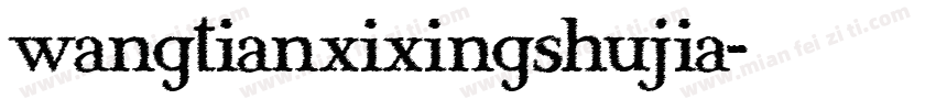 wangtianxixingshujia字体转换
