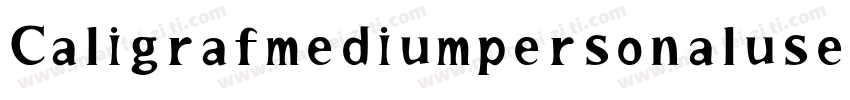 Caligrafmediumpersonaluse-ZVJ6J字体转换