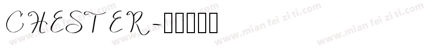 CHESTER字体转换