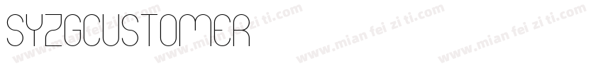 syzgcustomer字体转换
