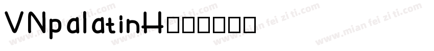 VNpalatinH字体转换