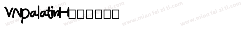 VNpalatinH字体转换