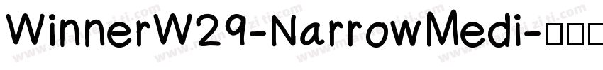 WinnerW29-NarrowMedi字体转换