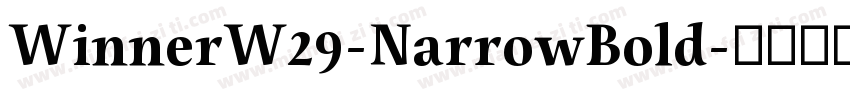 WinnerW29-NarrowBold字体转换