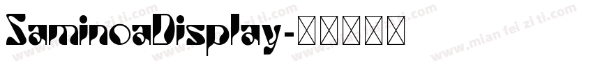 SaminoaDisplay字体转换