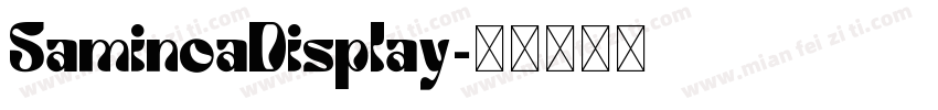 SaminoaDisplay字体转换