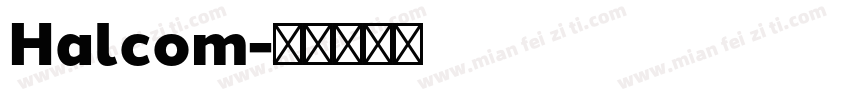 Halcom字体转换