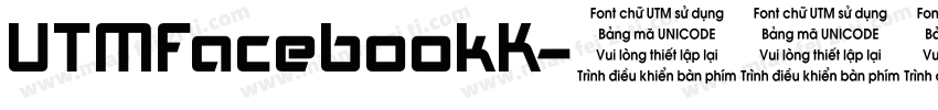 UTMFacebookK字体转换