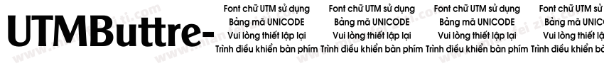 UTMButtre字体转换