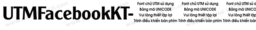 UTMFacebookKT字体转换