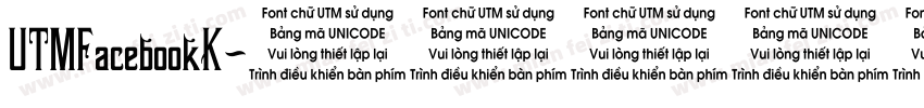 UTMFacebookK字体转换