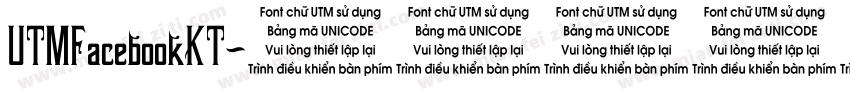 UTMFacebookKT字体转换