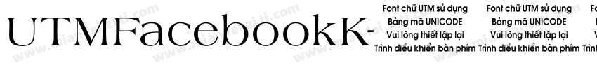 UTMFacebookK字体转换
