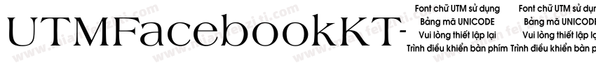 UTMFacebookKT字体转换
