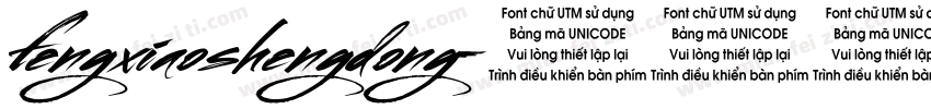 fengxiaoshengdong字体转换
