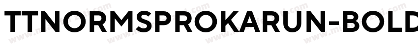 TTNORMSPROKARUN-BOLD字体转换