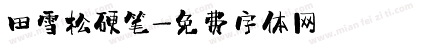 田雪松硬笔字体转换