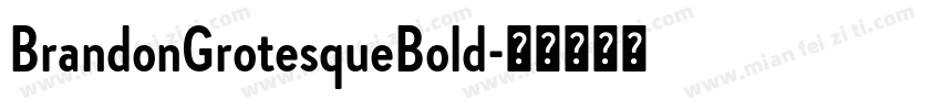 BrandonGrotesqueBold字体转换