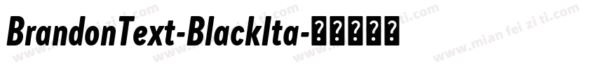 BrandonText-BlackIta字体转换