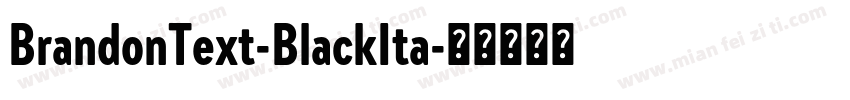 BrandonText-BlackIta字体转换